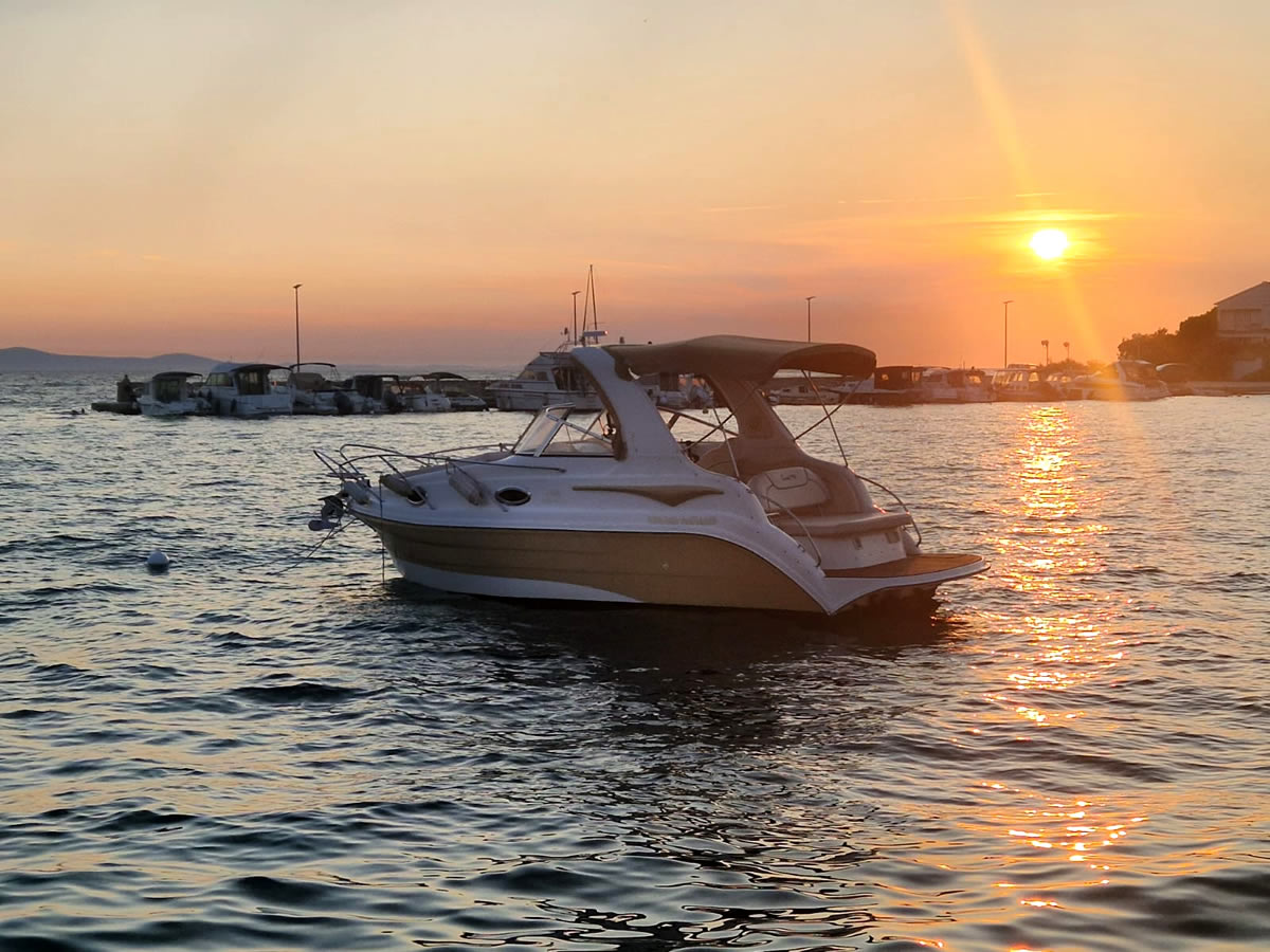 Coral 750