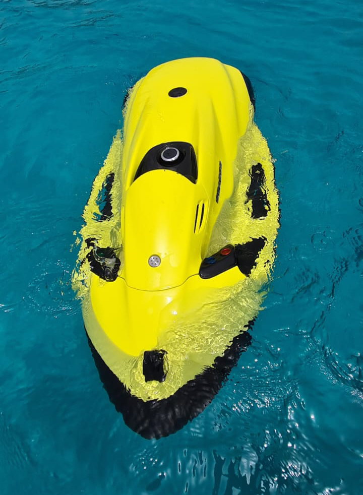 Sea Bob